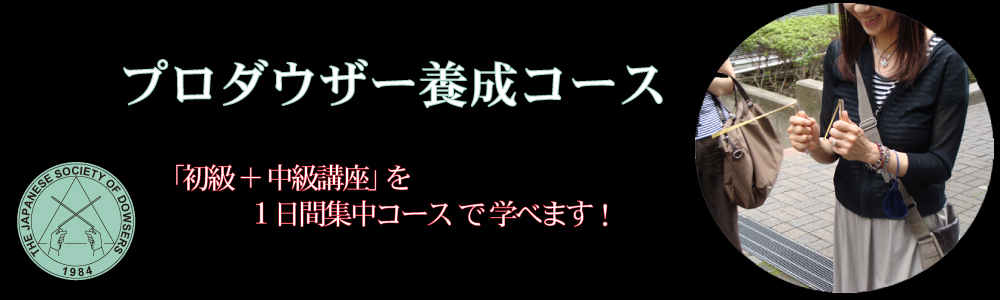 ダウザー&プロダウザー