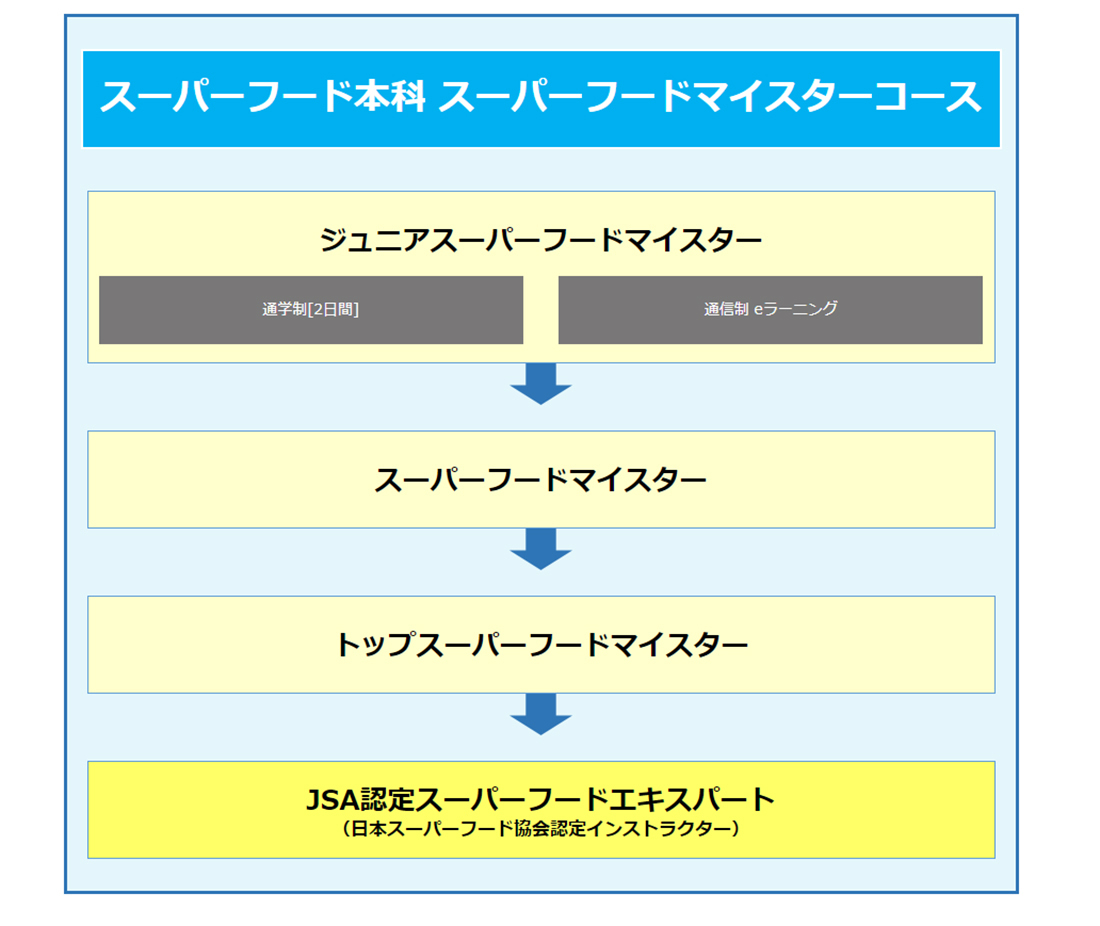 本科コース